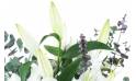 Image zoom Bouquet champêtre de lys blanc "Herne" | L'Agitateur Floral