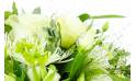 Image zoom Bouquet champêtre tons blancs "Ajaccio" | L'Agitateur Floral