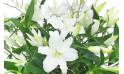 Image zoom Grand bouquet de lys blanc "Syracuse" | L'Agitateur Floral