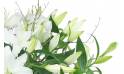Image zoom Grand bouquet de lys blanc "Syracuse" | L'Agitateur Floral