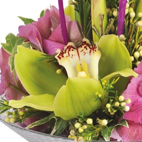 mozaique : zoom sur une orchidée verte