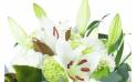 Image zoom Bouquet de fleurs blanches "Bruges" | L'Agitateur Floral