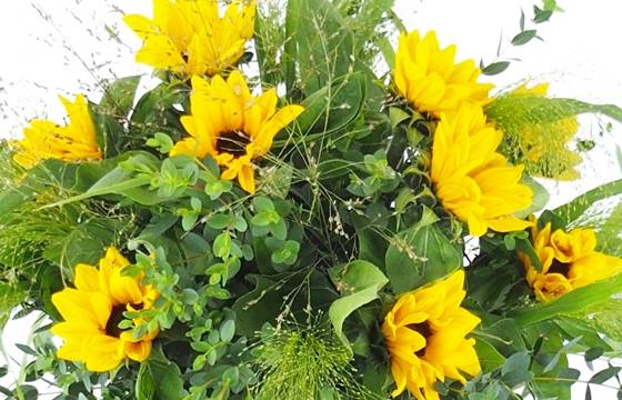 Image zoom Brassée de tournesols "Berlin" | L'Agitateur Floral