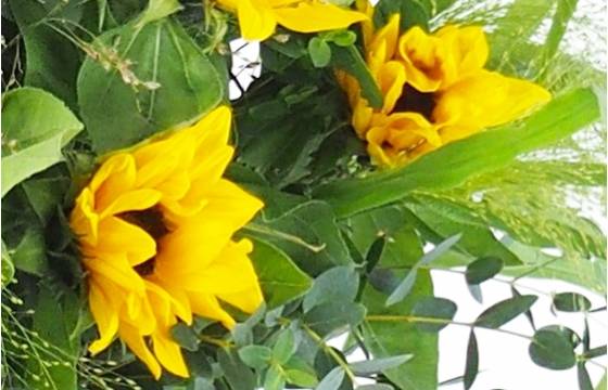 Image zoom Brassée de tournesols "Berlin" | L'Agitateur Floral