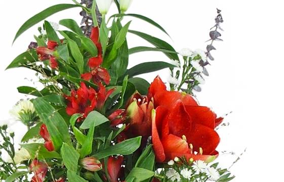 image de la Gerbe de fleurs à la main "Ovide" |  L'Agitateur Floral