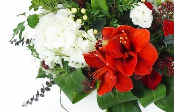 image de la Gerbe de fleurs à la main rouge et blanche "Hestia" | L'Agitateur Floral