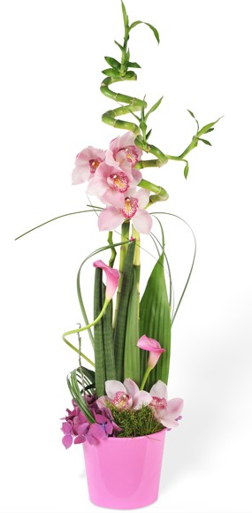 mozaique : vue sur la création florale