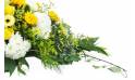 Image de la Raquette de deuil jaune & blanche "Pluton" | L'Agitateur Floral
