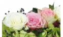 image du Chemin de roses roses & blanches "Cérès" | L'Agitateur Floral