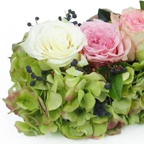 image du Chemin de roses roses & blanches "Cérès" | L'Agitateur Floral