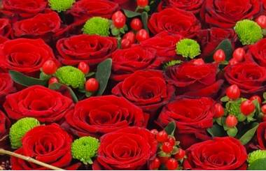 image du Coussin de roses rouges "Éros" | L'Agitateur Floral