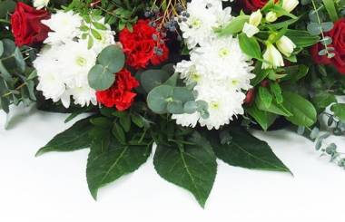 image de la Raquette rouge & blanche "Delphes" | L'Agitateur Floral