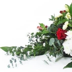 image de la Raquette rouge & blanche "Delphes" | L'Agitateur Floral