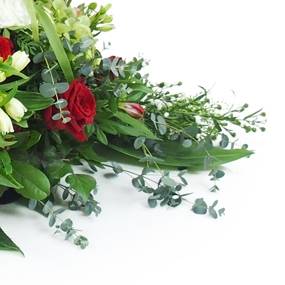 image de la Raquette rouge & blanche "Delphes" | L'Agitateur Floral