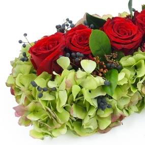 image du Chemin de roses rouges "Antiope" | L'Agitateur Floral