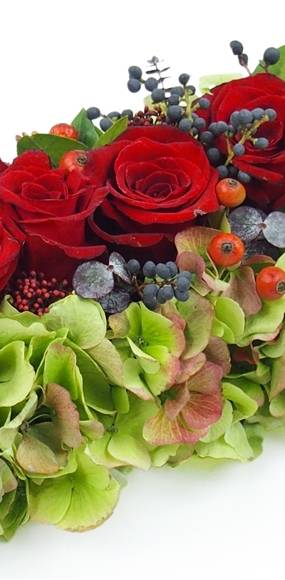 image du Chemin de roses rouges "Antiope" | L'Agitateur Floral