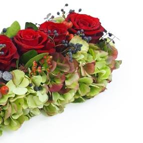 image du Chemin de roses rouges "Antiope" | L'Agitateur Floral