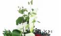 image de la Petite croix de deuil blanche & rouge "Hercule" | L'Agitateur Floral
