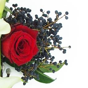 image de la Petite croix de deuil blanche & rouge "Hercule" | L'Agitateur Floral