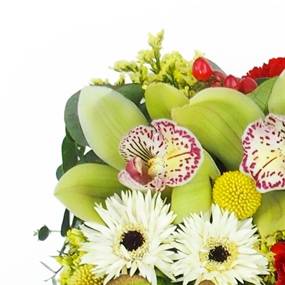 Image du Carré de fleurs piquées rouge & vert "Éole" | L'Agitateur Floral