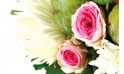 Composition florale Love : zoom sur deux roses roses
