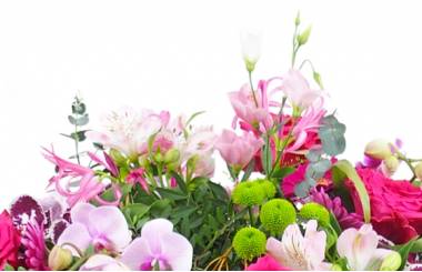 image de la Raquette de deuil dans les camaïeux de roses "Déméter" | L'Agitateur Floral