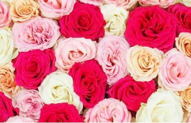 Image Cœur de fleurs piquées de deuil "Agora" | L'Agitateur Floral