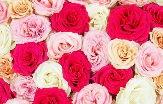 Image Cœur de fleurs piquées de deuil "Agora" | L'Agitateur Floral