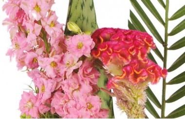 composition lady : zoom sur un ensemble floral