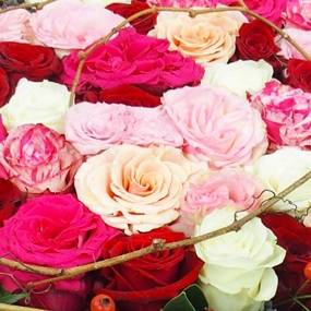 image du Coussin de roses rouges & roses "Mycènes" | L'Agitateur Floral