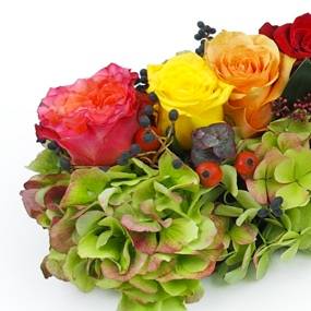 Image Chemin de roses colorées "Socrate" | L'Agitateur Floral