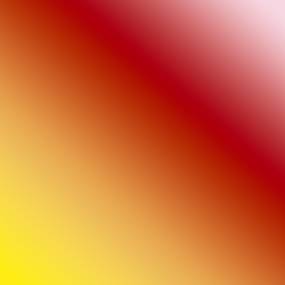 Image Chemin de roses colorées "Socrate" | L'Agitateur Floral