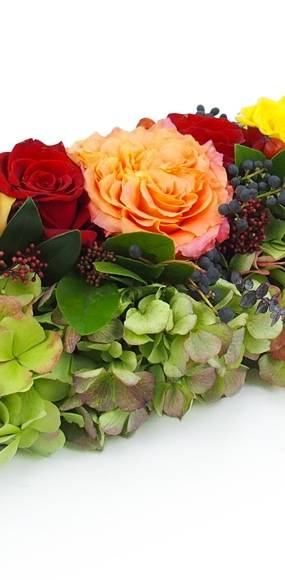 Image Chemin de roses colorées "Socrate" | L'Agitateur Floral