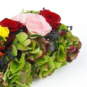 Image Chemin de roses colorées "Socrate" | L'Agitateur Floral