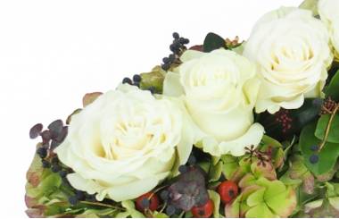 image du Chemin de roses blanches "Eschyle" | L'Agitateur Floral