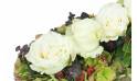 image du Chemin de roses blanches "Eschyle" | L'Agitateur Floral