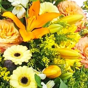 image du Coussin en hauteur jaune & orange "Apollon" | L'Agitateur Floral