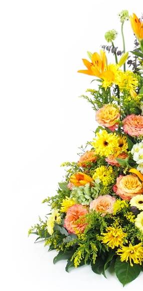 image du Coussin en hauteur jaune & orange "Apollon" | L'Agitateur Floral