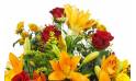 image de la Raquette de deuil orange & rouge "Hélios" | L'Agitateur Floral