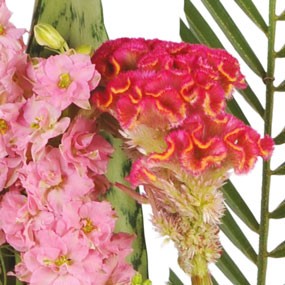 mosaïque : zoom sur un ensemble floral