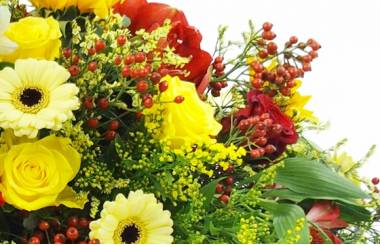 image de la Raquette fleurs colorées "Thucydide" | L'Agitateur Floral