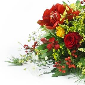 image de la Raquette fleurs colorées "Thucydide" | L'Agitateur Floral