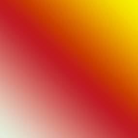 image de la Raquette fleurs colorées "Thucydide" | L'Agitateur Floral