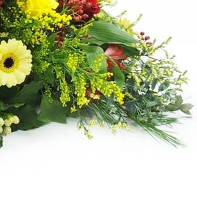 image de la Raquette fleurs colorées "Thucydide" | L'Agitateur Floral