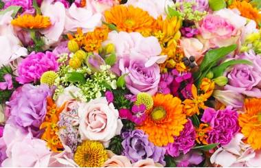 Image Coussin de fleurs piquées "Phidias"  | L'Agitateur Floral