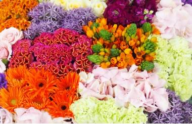 Image Coussin carré à damier coloré "Héraclite" | L'Agitateur Floral