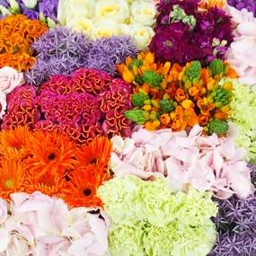 Image Coussin carré à damier coloré "Héraclite" | L'Agitateur Floral