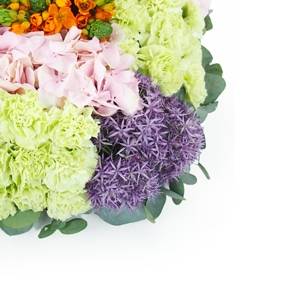 Image Coussin carré à damier coloré "Héraclite" | L'Agitateur Floral