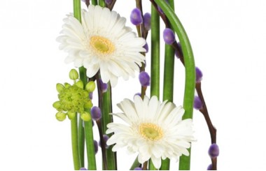 composition de fleurs Diva : zoom sur les germinis blancs