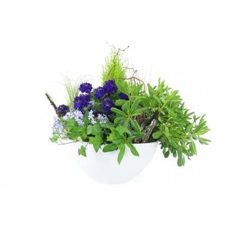 Image de la Composition de plantes mauve & bleue "Naturae" | L'Agitateur Floral